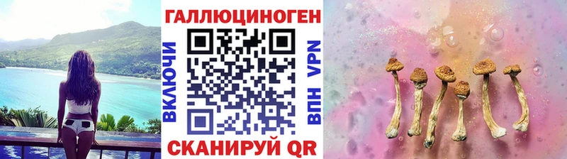 нарко площадка наркотические препараты  Гусиноозёрск  Псилоцибиновые грибы Magic Shrooms 
